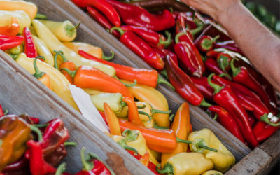 Agribusiness prospects in East and Southern Africa: Investor shares his insights