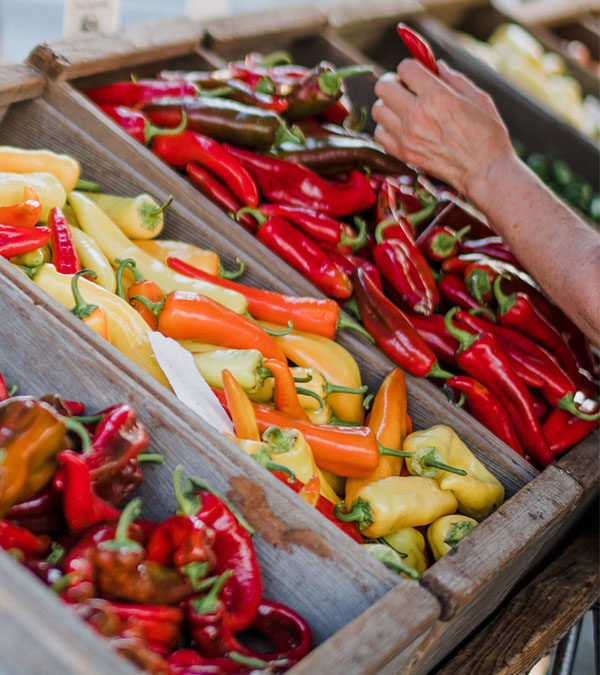 Agribusiness prospects in East and Southern Africa: Investor shares his insights