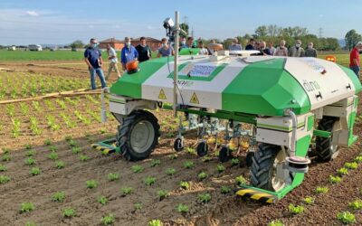 Dino: agri-robot tool holder